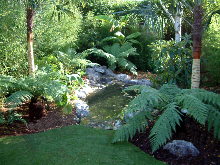 Tropical garden design and landscaping London | Urban Tropics
