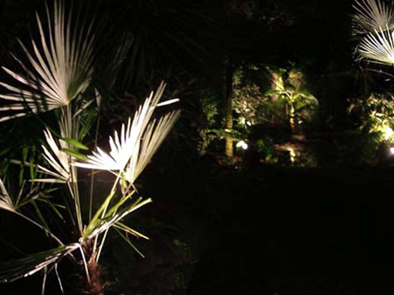 Night lighting in a tropical garden London | Urban Tropics
