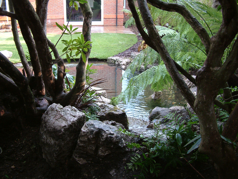 Tropical garden design | Urban Tropics Tropical garden design | Urban Tropics