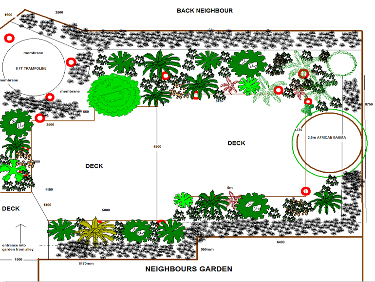 Urban Tropics Garden Design Plan