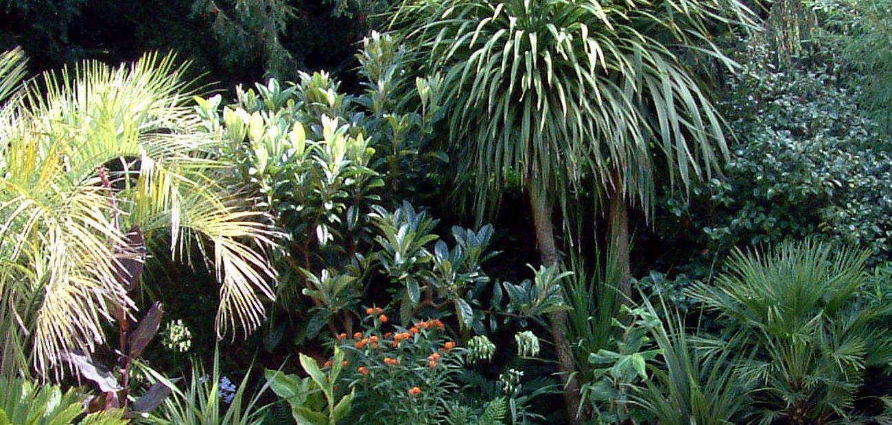 Tropical Planting | Urban Tropics London