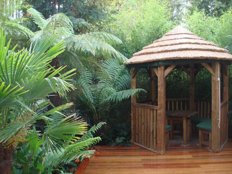 African Bauma Tropical London Garden| Urban Tropics