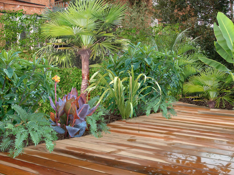 Tropical Garden Design Visual London