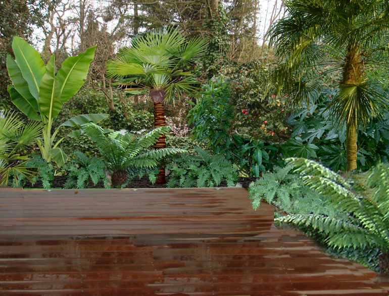 Tropical Garden Design Visual London