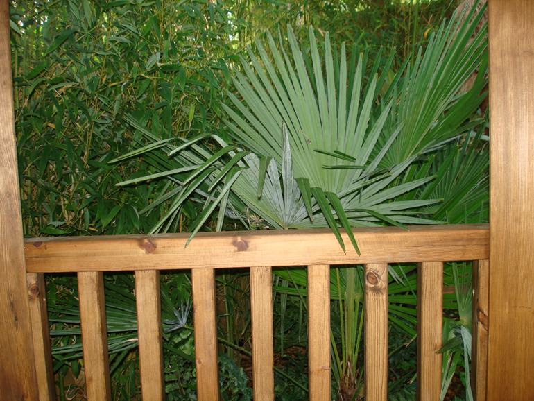 Gazebo London Garden| Urban Tropics