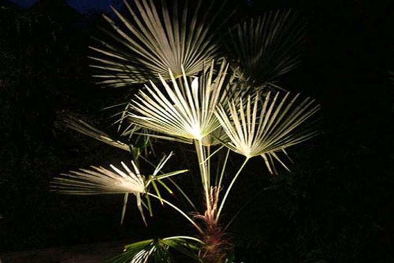 Garden lighting | Urban Tropics