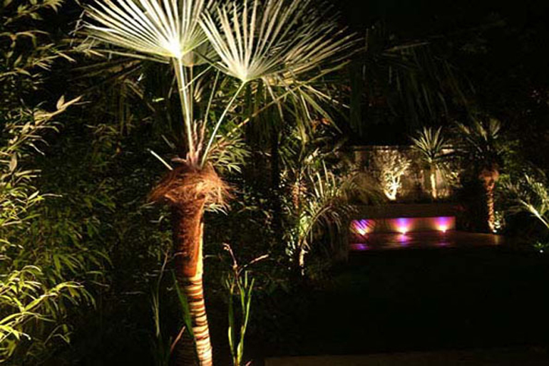 Mediterranean garden in London at night | Urban Tropics