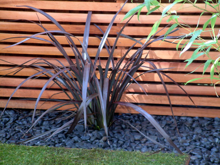 Contemporary minimalist planting by Urban Tropics