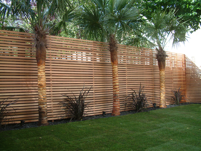 Minimalist planting palm trees in contemporary garden London| Urban Tropics