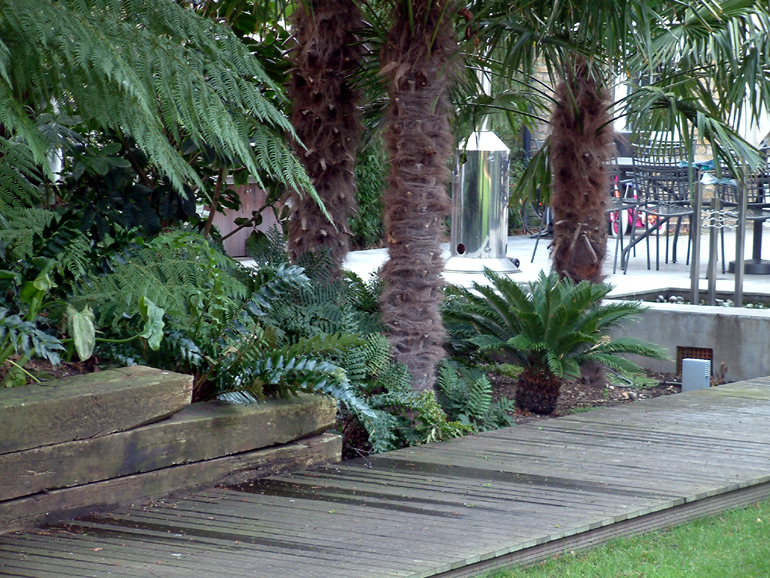 Tropical planting London | Urban Tropics