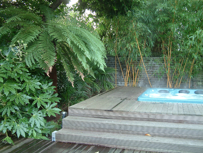 Tropical planting around jacuzzi and raised hardwood deck