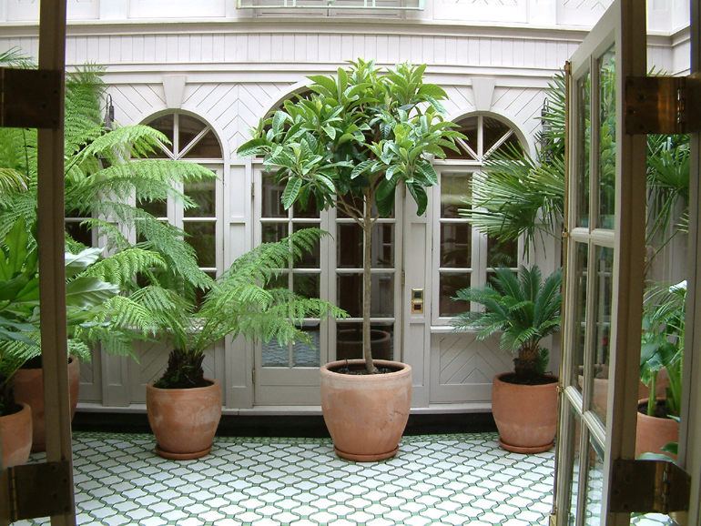 A Moroccan garden design by Urban Tropics Exotic plants in Moroccan design atrium | Urban Tropics exotic garden design London