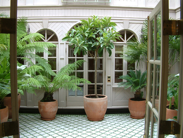 Exotic plants in Moroccan design atrium  | Urban Tropics exotic garden design London