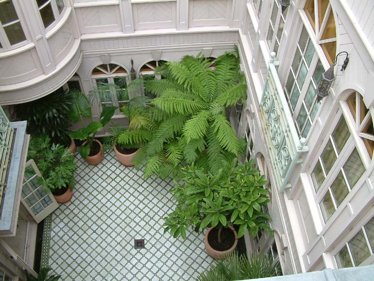 A Moroccan garden design by Urban Tropics Exotic plants in Moroccan design atrium | Urban Tropics exotic garden design London
