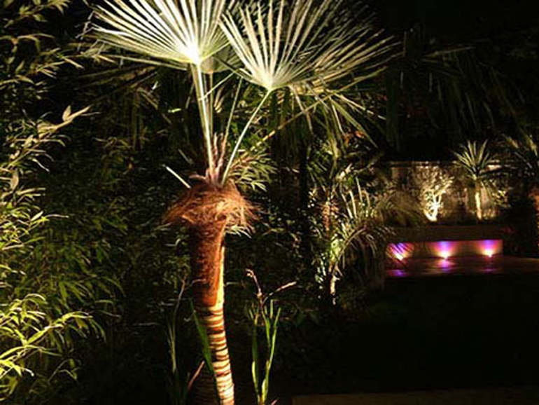 Mediterranean garden London at night