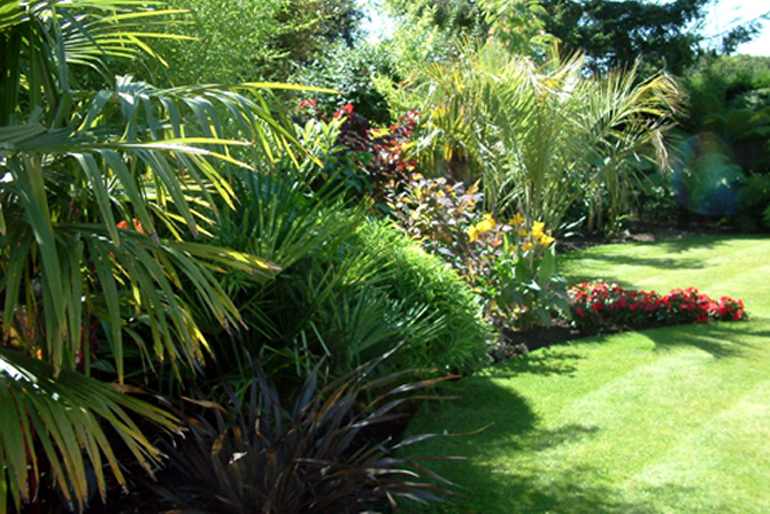 Exotic and rare plants in a London Mediterranean garden | Urban Tropics